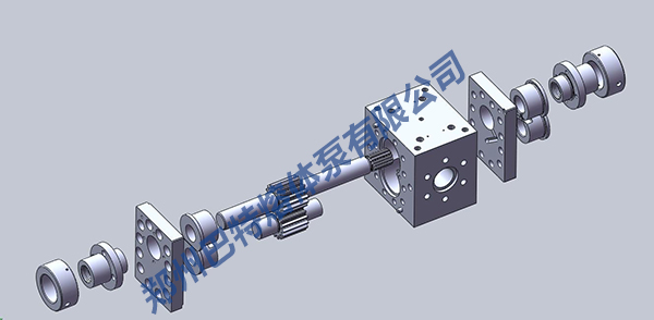 熔體泵內(nèi)部結(jié)構(gòu)